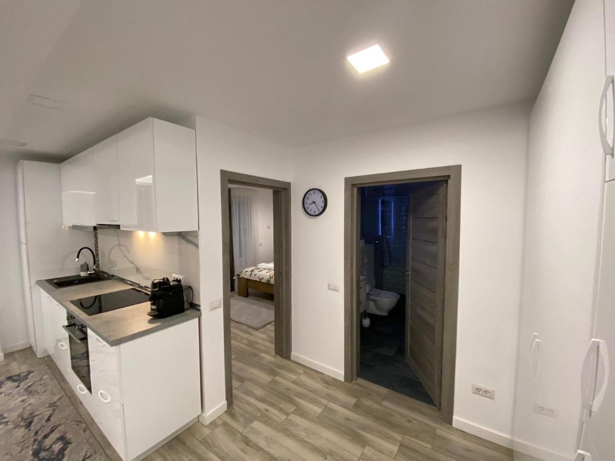 Apartament Lora Studio Suczawa Zewnętrze zdjęcie
