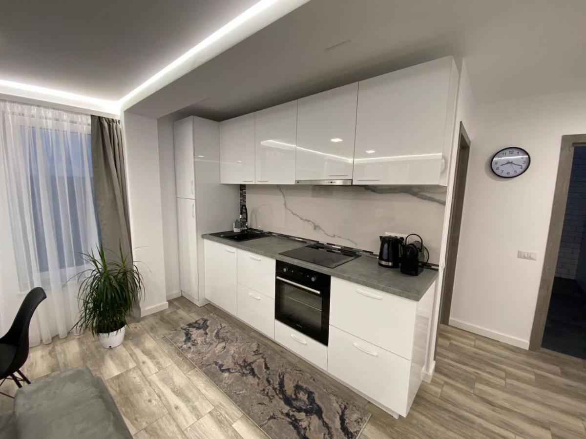 Apartament Lora Studio Suczawa Zewnętrze zdjęcie