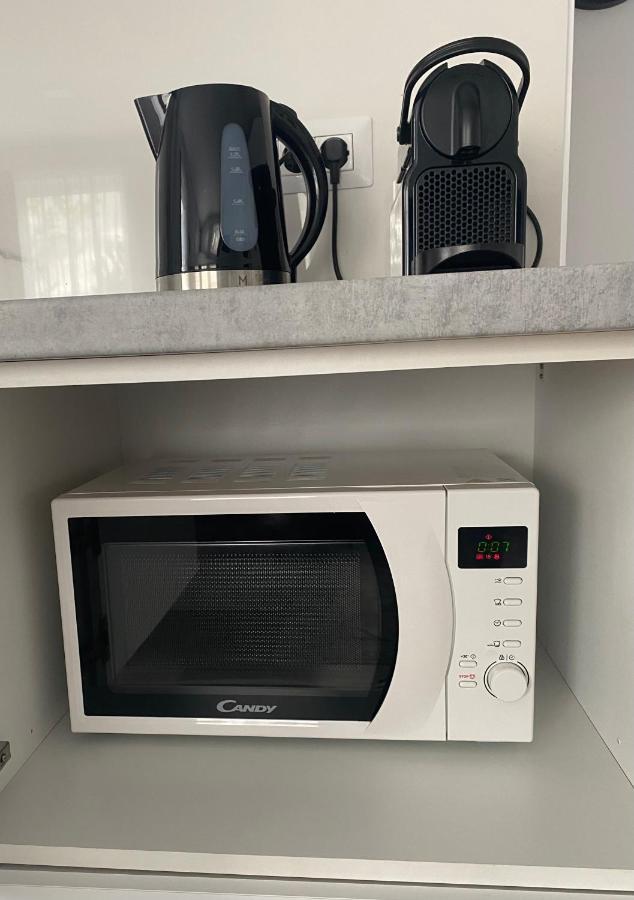Apartament Lora Studio Suczawa Zewnętrze zdjęcie